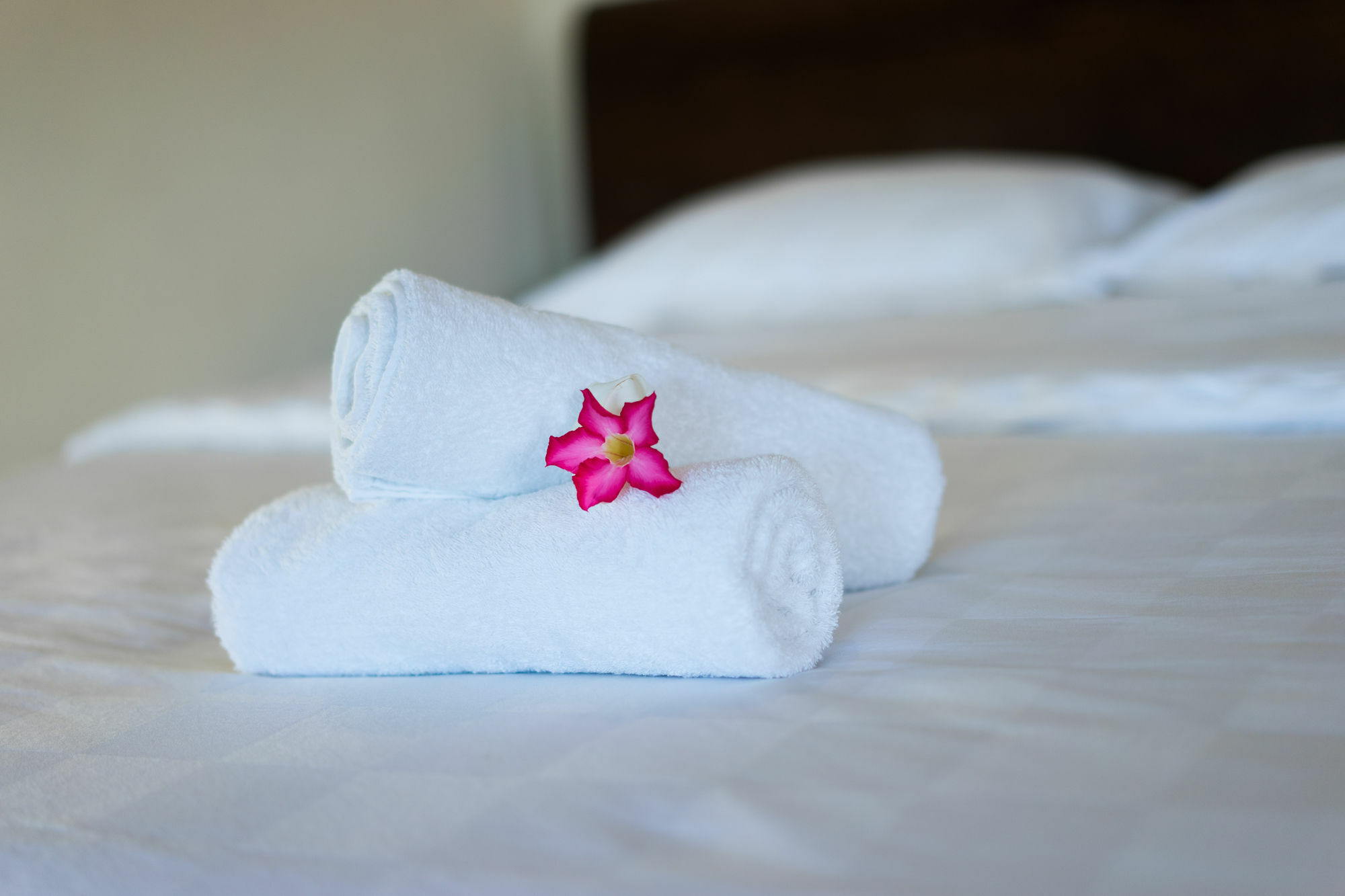 Ware Ware Surf Bungalow Lembongan Nusa Lembongan  Ngoại thất bức ảnh